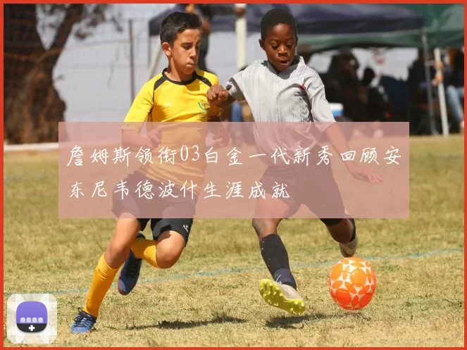 詹姆斯领衔03白金一代新秀回顾安东尼韦德波什生涯成就